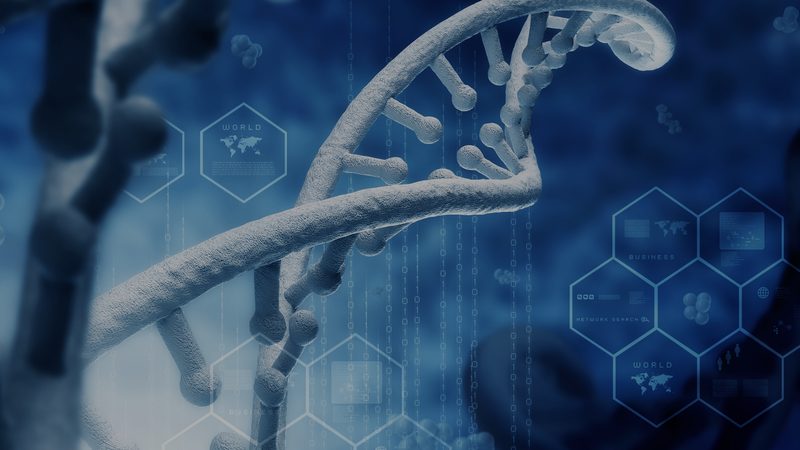 儿童健康科普绘本：如何选择合适的代理加盟？**